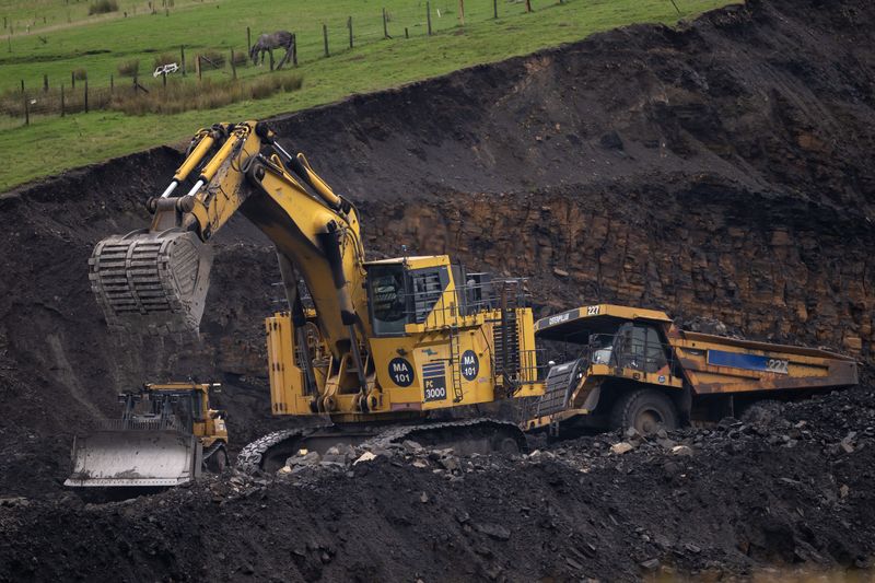 EU carbon taxes and developing economies